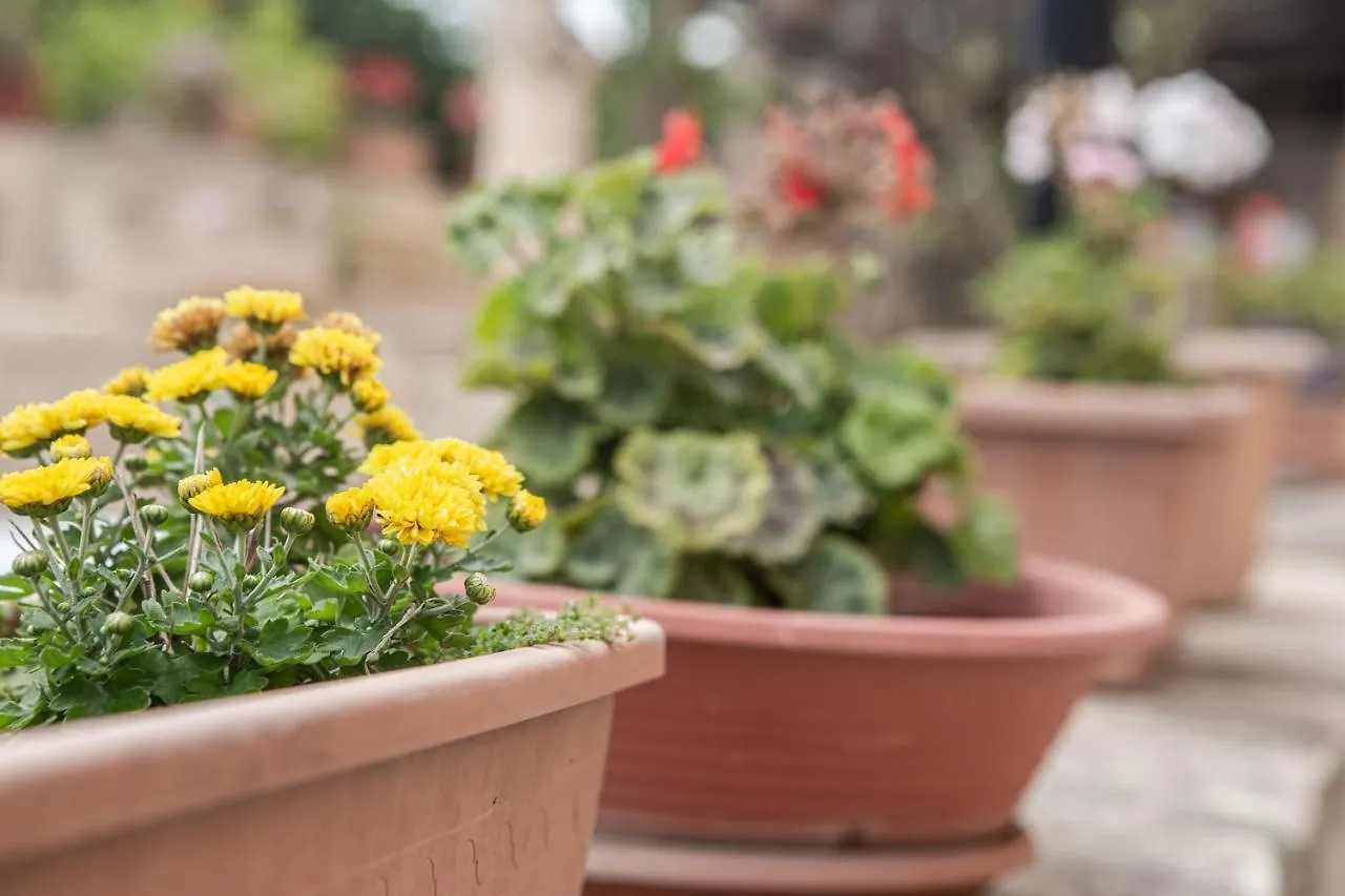 Ta' Bertu Host Family Bed & Breakfast Ħal Far Malta