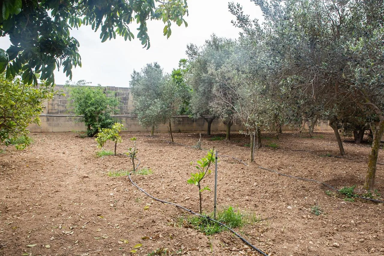 مبيت وإفطار Ħal Far فندق مبيت وإفطار تأبيرتو هوست فاميلي مالطا