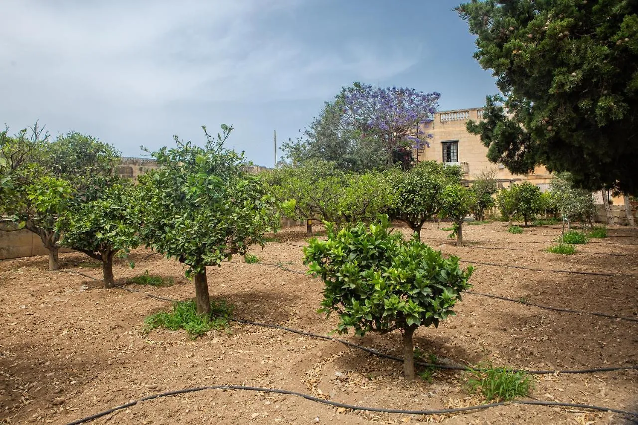 **  Ta' Bertu Host Family Bed & Breakfast Panzió Ħal Far Málta