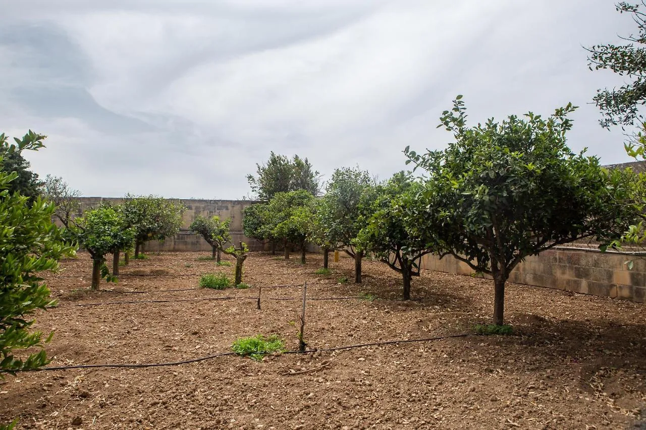 Ta' Bertu Host Family Bed & Breakfast Panzió Ħal Far