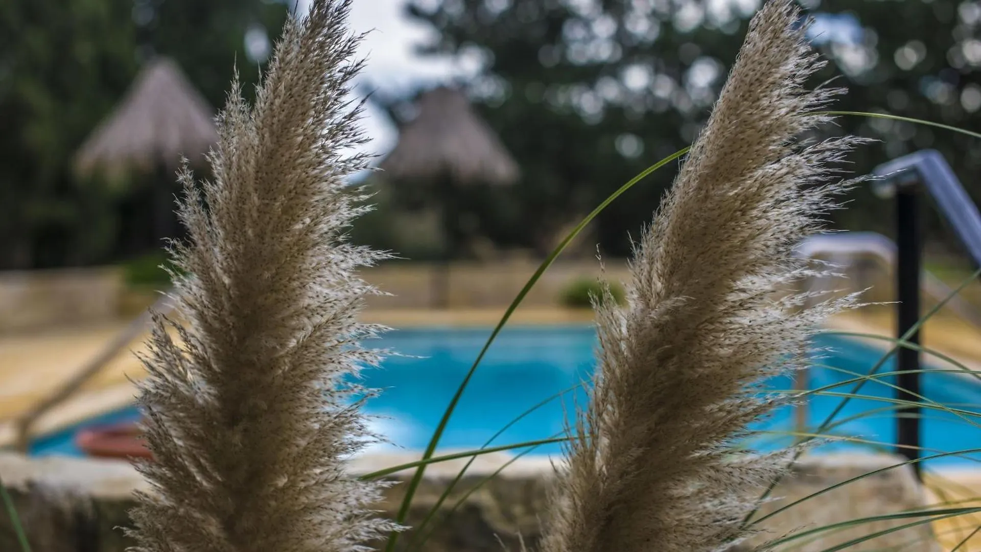 Ta' Bertu Host Family Bed & Breakfast Panzió Ħal Far